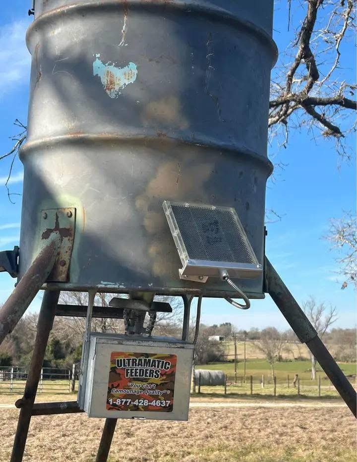 Deer feeder - Image 2