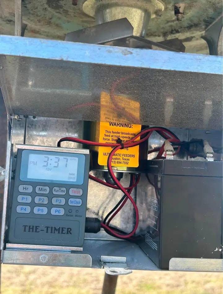 Deer feeder - Image 3