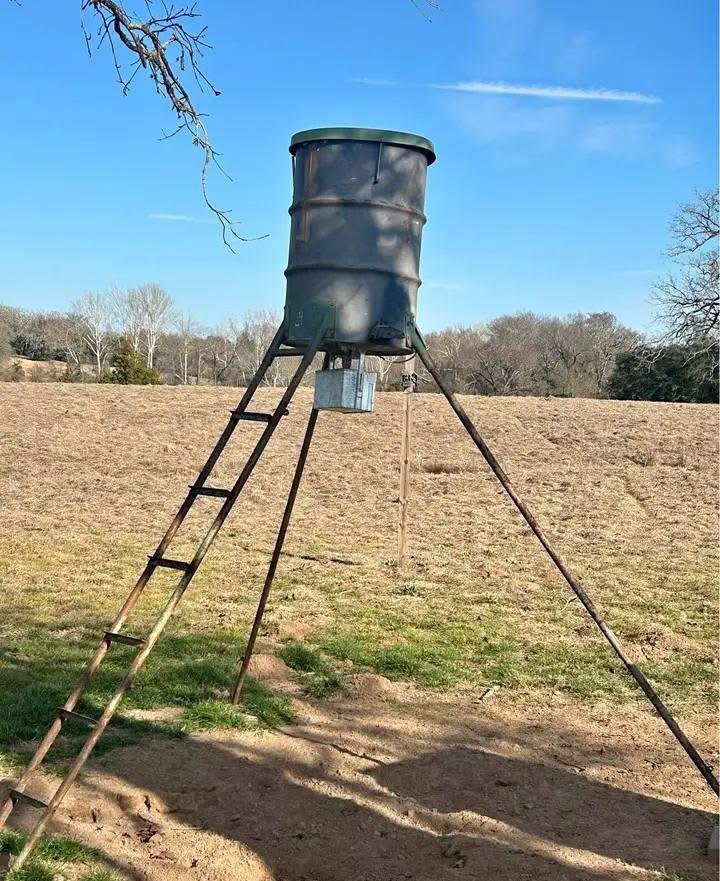 Deer feeder